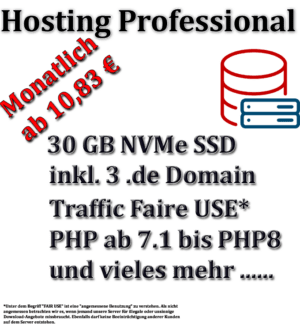 Unser Webhosting Professional-Paket bietet eine kostengünstige Lösung für mittlere bis große Websites.